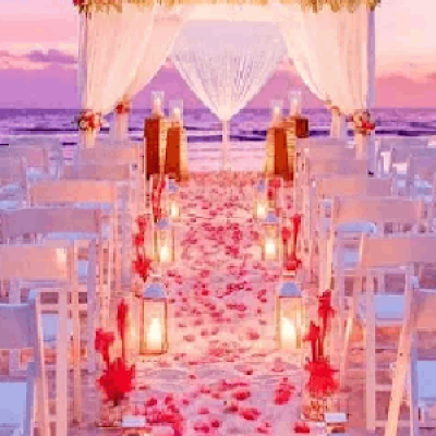 New Project (17) New Project (17)